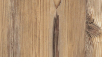Hazel Oak